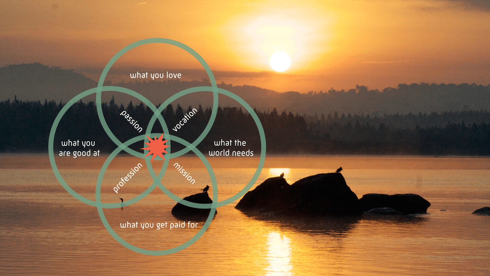 Ikigai – a reason for being